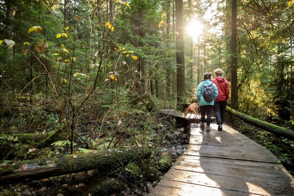 Słuchanie śpiewu ptaków na spacerze poprawia samopoczucie — to potwierdza nauka