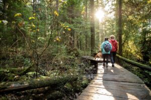 Słuchanie śpiewu ptaków na spacerze poprawia samopoczucie — to potwierdza nauka
